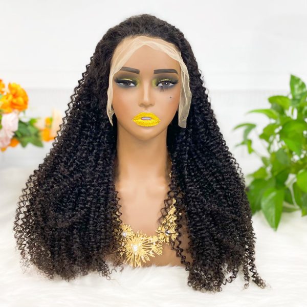 13x4 Transparent Lace Wig  Kinky Curly Natural Color Virgin Human Hair Wigs