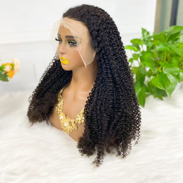 13x4 Transparent Lace Wig  Kinky Curly Natural Color Virgin Human Hair Wigs - Image 3