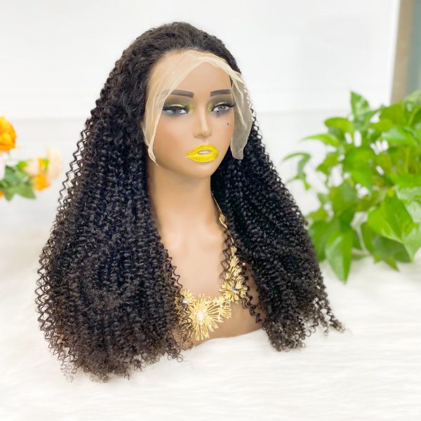 13x4 Transparent Lace Wig  Kinky Curly Natural Color Virgin Human Hair Wigs - Image 8